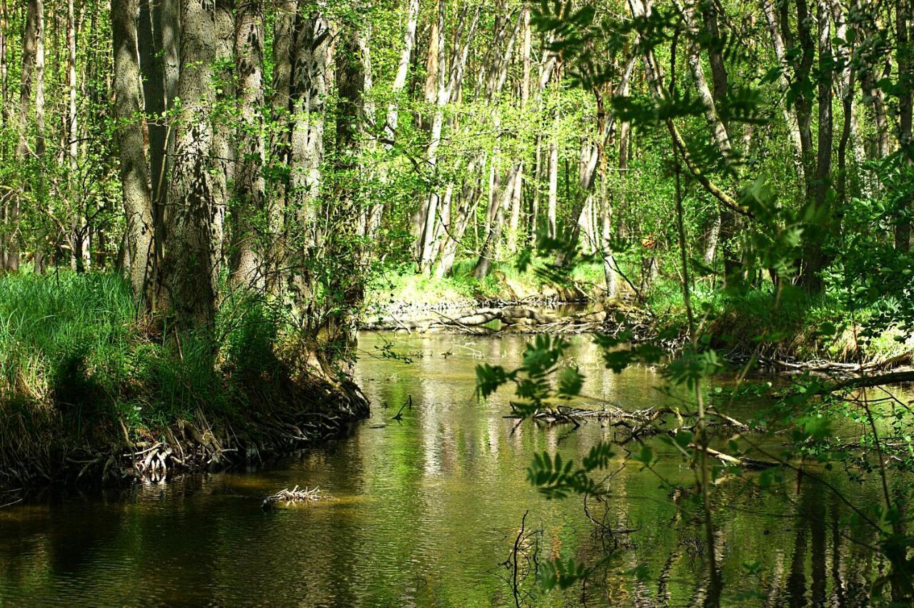 Ferien Am Hegensteinbach Villa Fürstenberg-Havel Exteriör bild