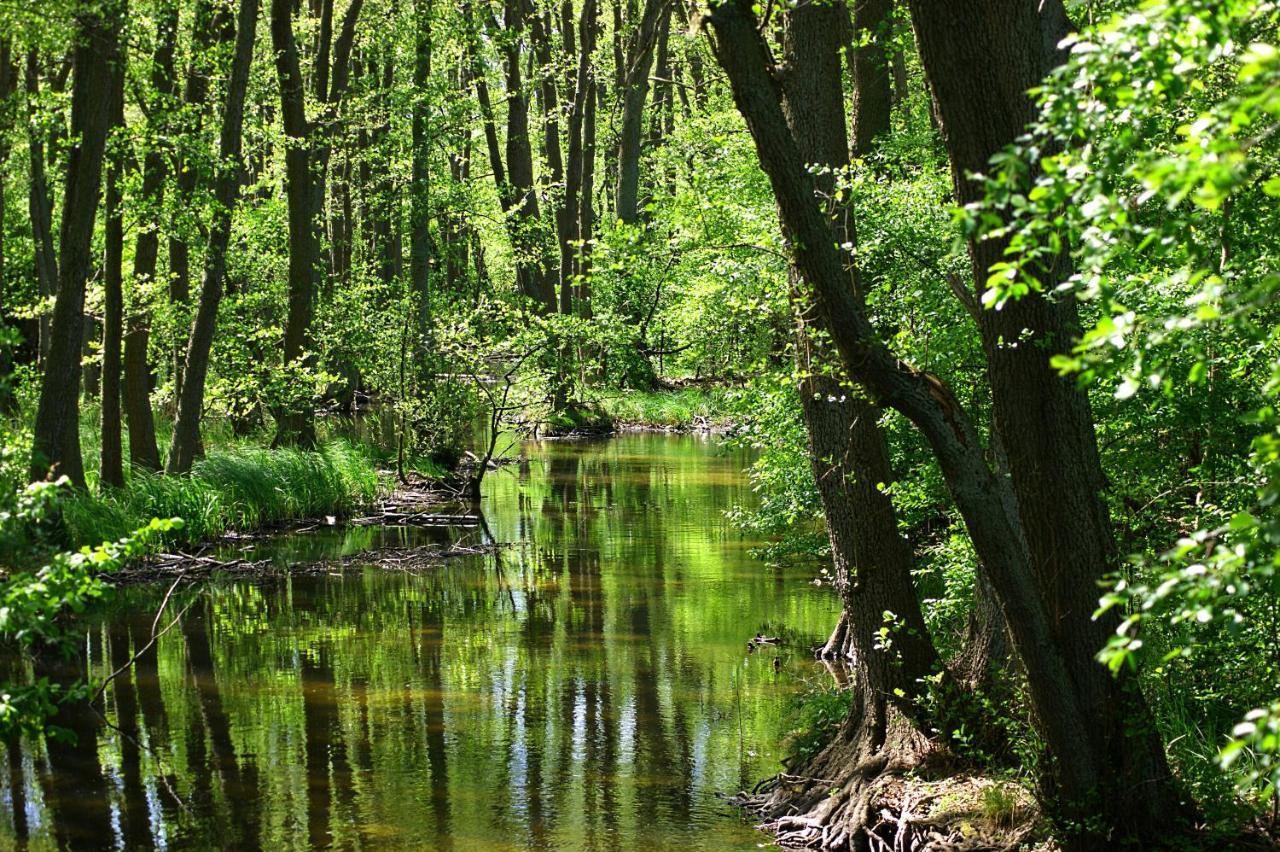 Ferien Am Hegensteinbach Villa Fürstenberg-Havel Exteriör bild